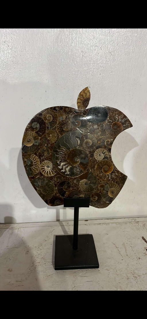Ammonite apple with stand