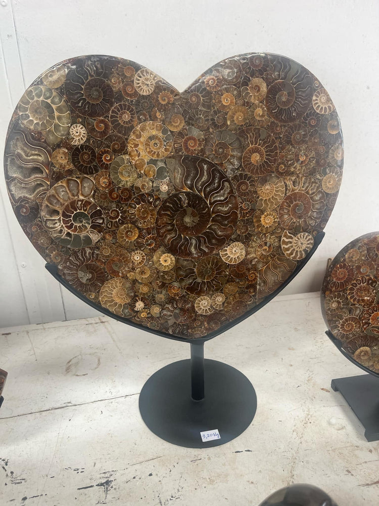 Ammonite heart with stand