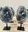Celestite polished with stand