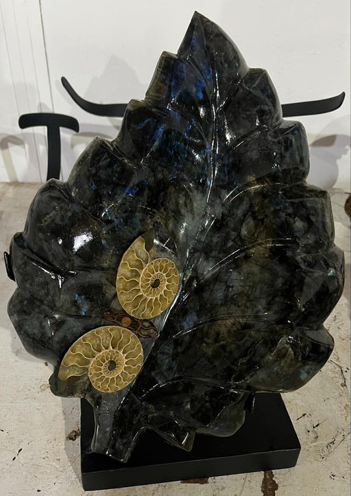 Labradorite leaf with ammonite
